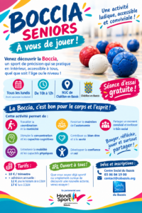Boccia Seniors à Châtillon-en-Bazois